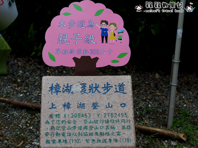 樟樹步道繽紛花季貓空閃閃淚光魯冰花 樟樹步道繽紛花季貓空閃閃淚光魯冰花