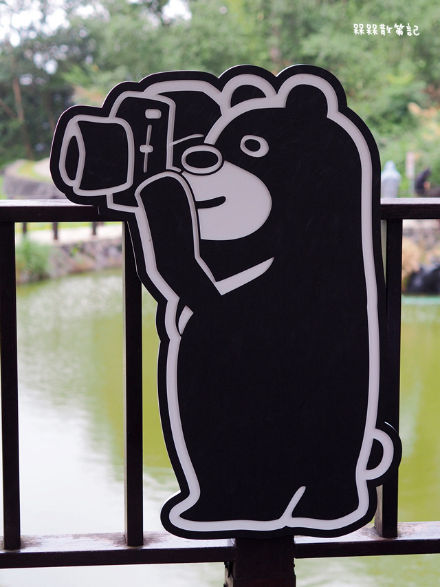 樟樹步道繽紛花季貓空閃閃淚光魯冰花 樟樹步道繽紛花季貓空閃閃淚光魯冰花