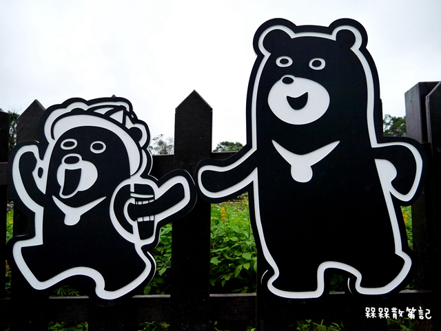 樟樹步道繽紛花季貓空閃閃淚光魯冰花 樟樹步道繽紛花季貓空閃閃淚光魯冰花