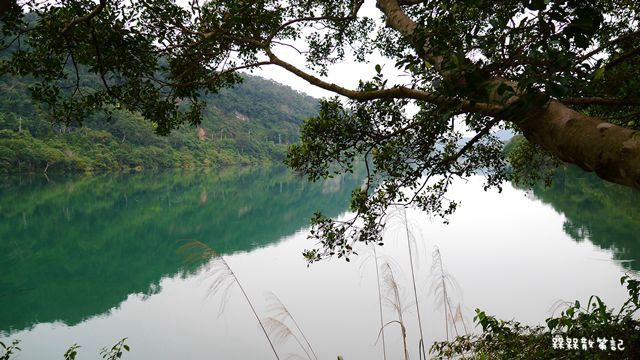 新店秘境濛濛湖廣興河濱公園