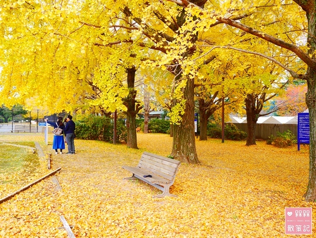 國營昭和紀念公園