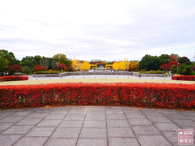 國營昭和紀念公園