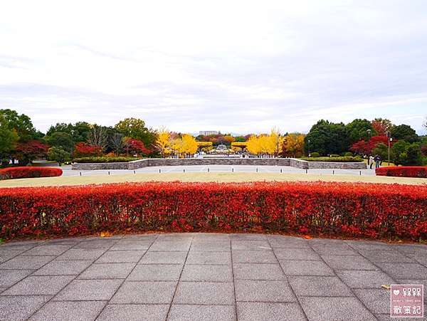 東京 ᴗ 立川 景點 國營昭和紀念公園銀杏並木 日本庭園 銀杏大道 11月中旬頃 紅黃葉狀況 秋天限定的絕美景色 金黃色的夢幻境地 國營昭和紀念 公園地圖詳解 昭和紀念公園中文地圖 昭和紀念公園路線規劃 昭和紀念公園行程 東京昭和紀念公園自助旅遊銀杏時間 日本
