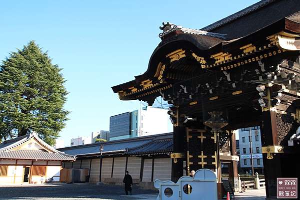 京都 ᴗ 七条 景點 西本願寺的大銀杏 漫天的金黃閃爍 京都車站周邊的銀杏名所 京都賞楓銀杏自由行 世界文化遺產 龍谷山本願寺浄土真宗本願寺派 西本願寺 西本願寺銀杏見頃 京都賞楓時間 京都賞楓銀杏行程 京都自助旅遊銀杏時間 日本京都賞銀杏景點 京都西