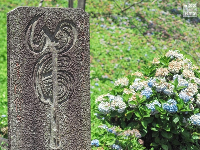 台九縣石牌縣界公園賞繡球花