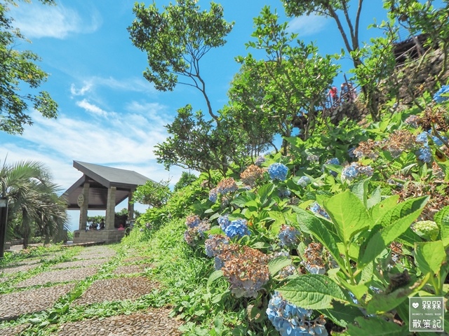 台九縣石牌縣界公園賞繡球花