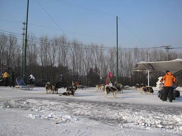 中國東北極凍之旅-哈爾濱滑雪趣-名都滑雪場_1404.JPG