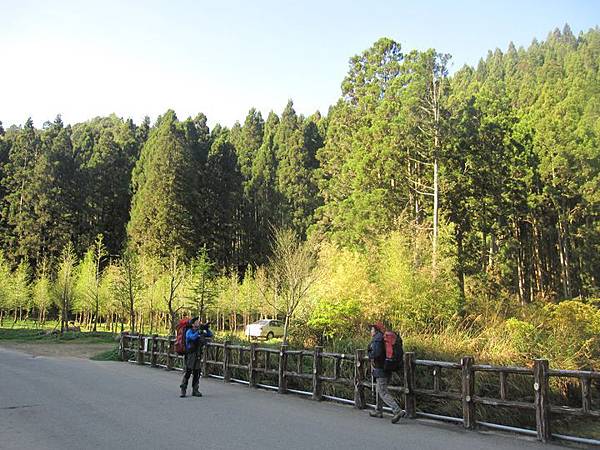 南投竹山杉林溪-爬山初體驗-【水漾森林+鹿屈山】_5.JPG