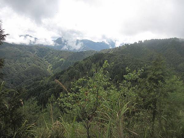 南投竹山杉林溪-爬山初體驗-【水漾森林+鹿屈山】_14.JPG