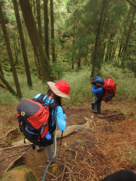 南投竹山杉林溪-爬山初體驗-【水漾森林+鹿屈山】_20.JPG