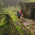 南投竹山杉林溪-爬山初體驗-【水漾森林+鹿屈山】_31.JPG