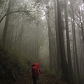 南投竹山杉林溪-爬山初體驗-【水漾森林+鹿屈山】_35.JPG