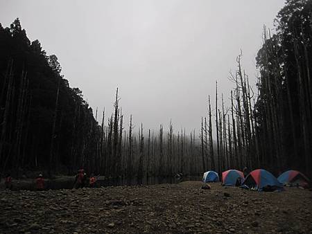 南投竹山杉林溪-爬山初體驗-【水漾森林+鹿屈山】_49.JPG