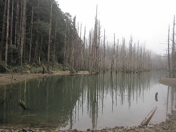 南投竹山杉林溪-爬山初體驗-【水漾森林+鹿屈山】_54.JPG