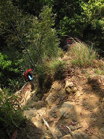 南投竹山杉林溪-爬山初體驗-【水漾森林+鹿屈山】_93.JPG