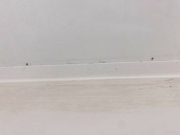 LINE_ALBUM_蛾蚋_230612_1.jpg