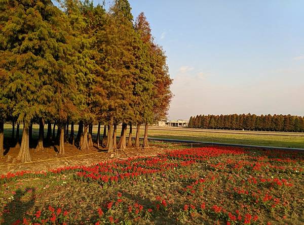 回家只想.+20201220雞籠山+20210103梅嶺_210112_34.jpg