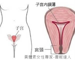 子宮頸內膜薄.jpg