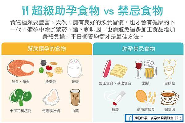 助孕食物 助孕食物