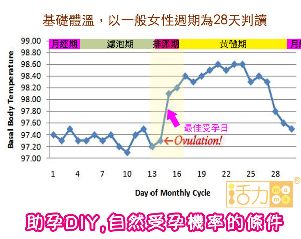 助孕方法如何增加受孕機率基礎體溫.jpg