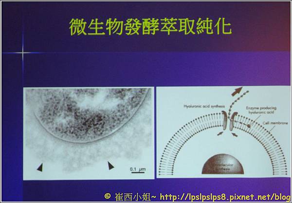 邱品齊醫師敏感肌PPT22.JPG