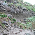石門洞岩壁