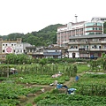 山隴蔬菜公園