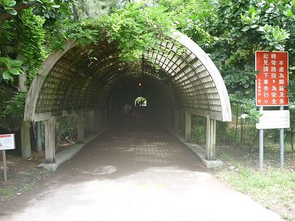 綠色隧道