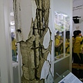 921大地震博物館