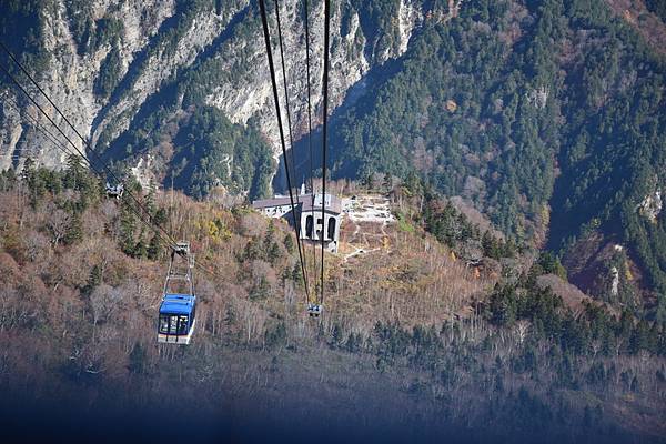 DSC_0773.jpg DSC_0773.jpg