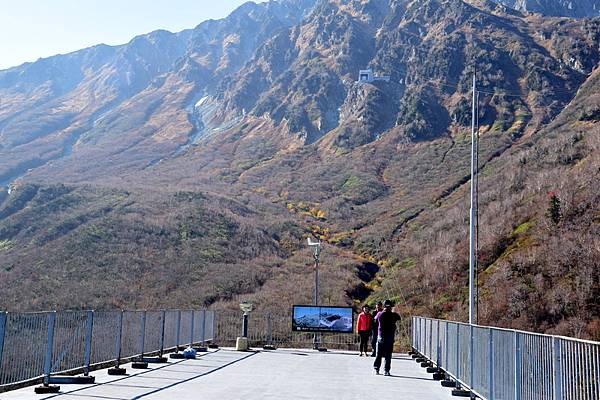 DSC_0797.jpg DSC_0797.jpg