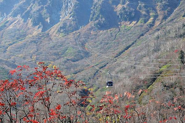 DSC_0820.jpg DSC_0820.jpg