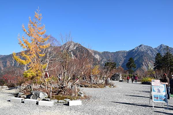 DSC_0819.jpg DSC_0819.jpg