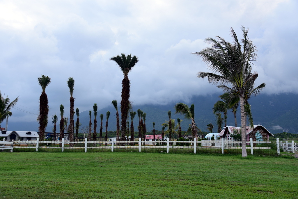 DSC_2633.JPG - 崇德海灘,崇德瑩農場