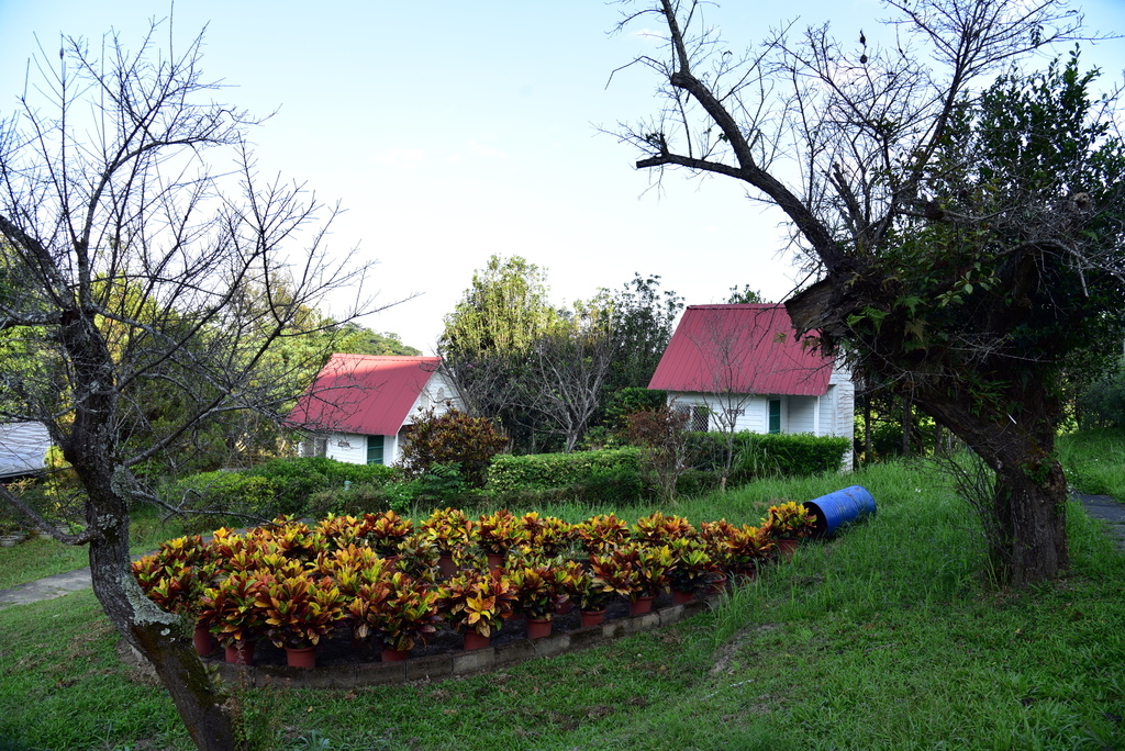 【台中市東勢區】中部最美的森林生態花園-東勢林場遊樂區 (東 DSC_0496.JPG - 東勢林場遊樂區