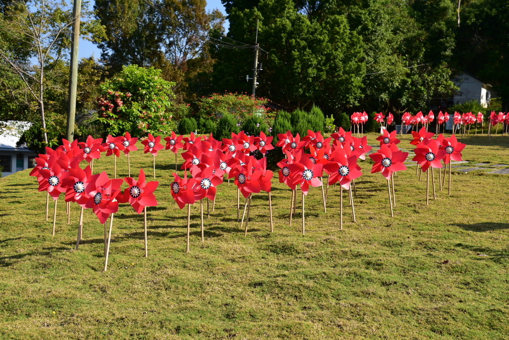 【台中市東勢區】中部最美的森林生態花園-東勢林場遊樂區 (東 DSC_0507.JPG - 東勢林場遊樂區