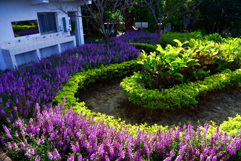 【台中市東勢區】中部最美的森林生態花園-東勢林場遊樂區 (東 DSC_0509.JPG - 東勢林場遊樂區