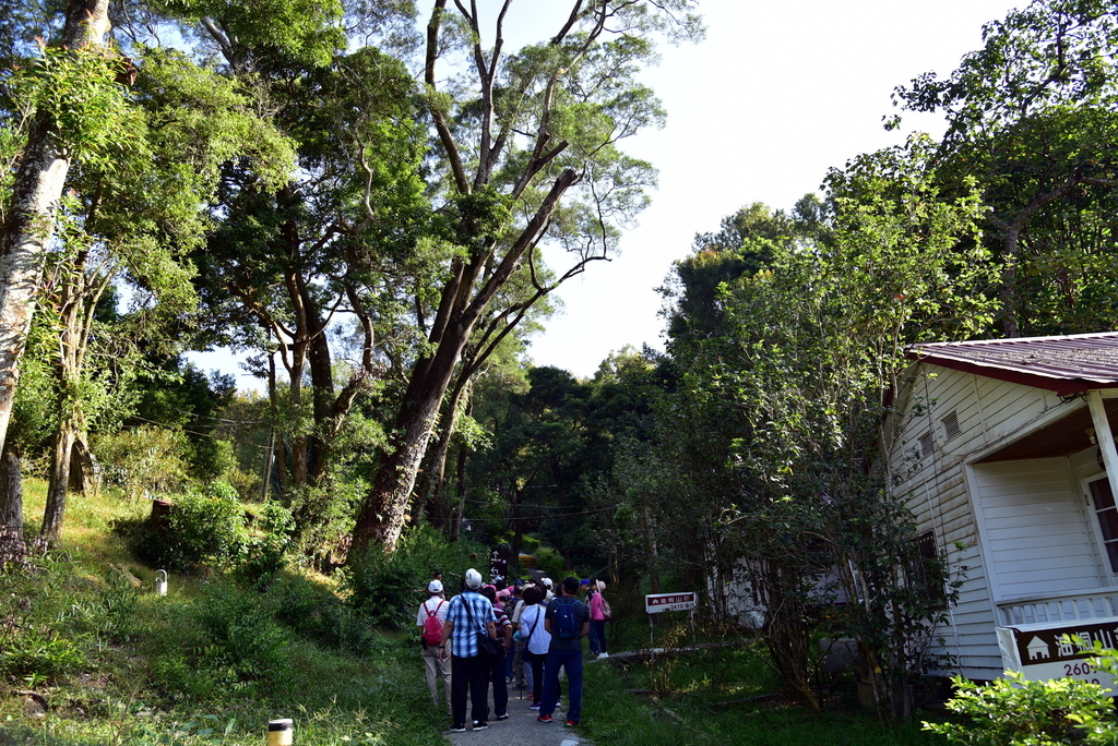 【台中市東勢區】中部最美的森林生態花園-東勢林場遊樂區 (東 DSC_0516.JPG - 東勢林場遊樂區
