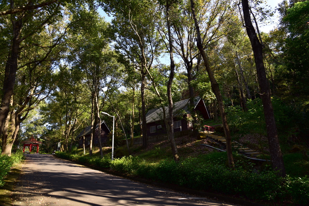 【台中市東勢區】中部最美的森林生態花園-東勢林場遊樂區 (東 DSC_0523.JPG - 東勢林場遊樂區