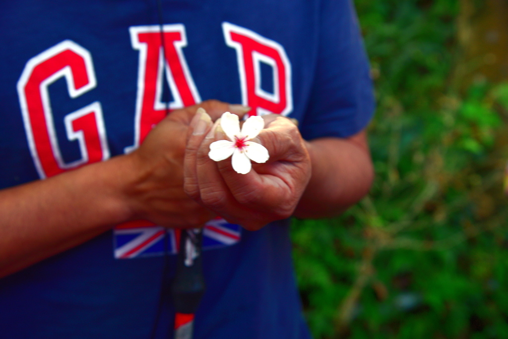 【台中市東勢區】中部最美的森林生態花園-東勢林場遊樂區 (東 DSC_0526.JPG - 東勢林場遊樂區