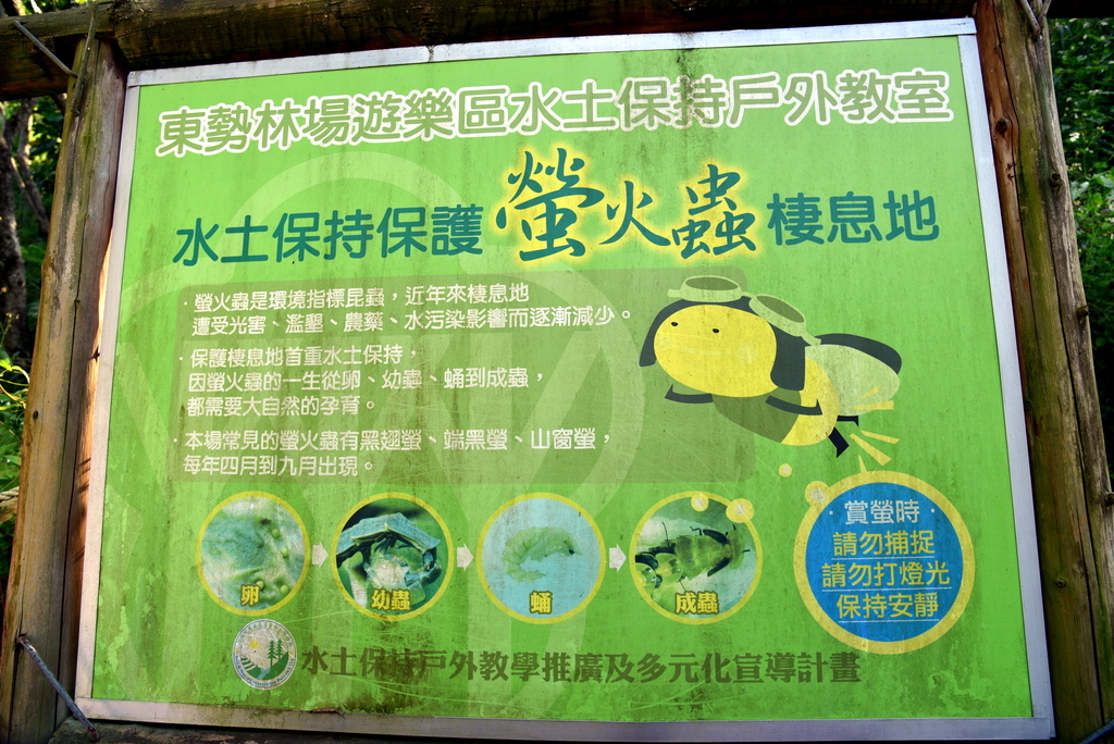 【台中市東勢區】中部最美的森林生態花園-東勢林場遊樂區 (東 DSC_0537.JPG - 東勢林場遊樂區