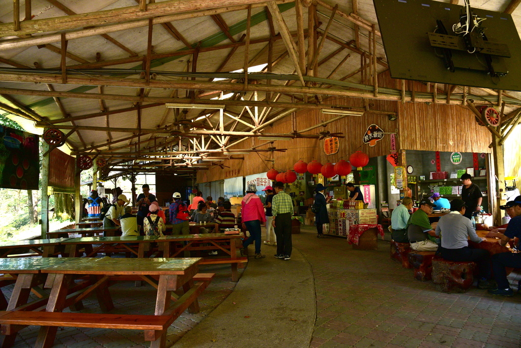 【台中市東勢區】中部最美的森林生態花園-東勢林場遊樂區 (東 DSC_0559.JPG - 東勢林場遊樂區