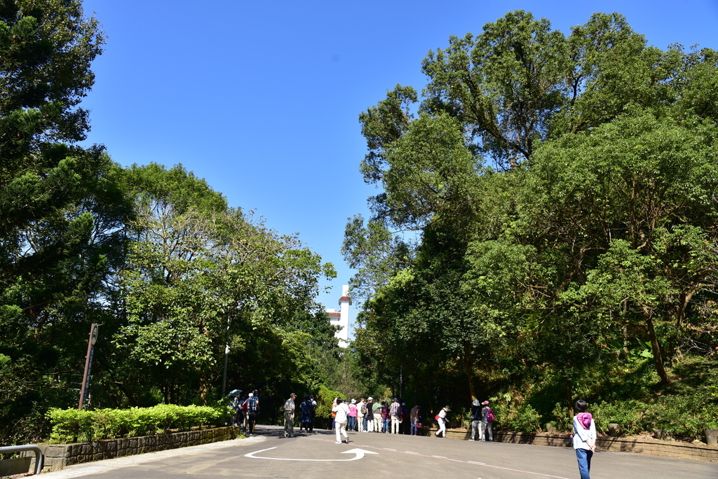 【台中市東勢區】中部最美的森林生態花園-東勢林場遊樂區 (東 DSC_0567.JPG - 東勢林場遊樂區