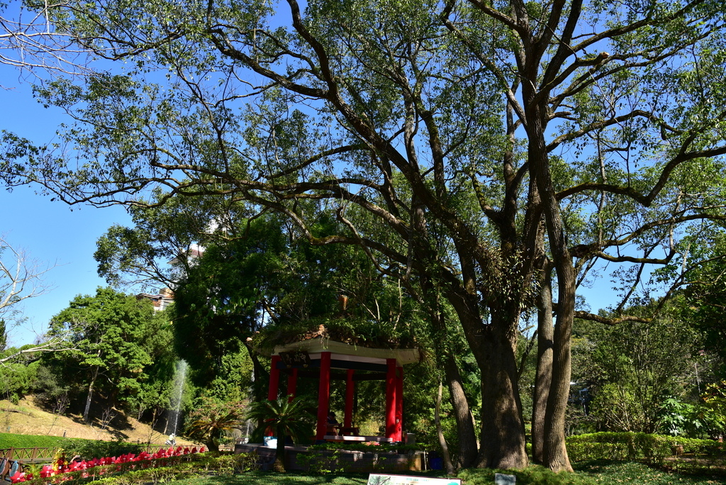 【台中市東勢區】中部最美的森林生態花園-東勢林場遊樂區 (東 DSC_0588.JPG - 東勢林場遊樂區