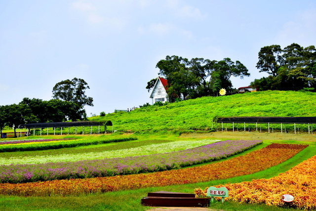 _DSC00697.JPG - 大溪花海農場