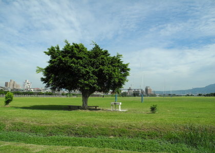 【台北市】基隆河右岸自行車道-百齡河濱公園 【台北市】基隆河右岸自行車道-百齡河濱公園