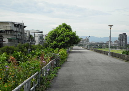 【台北市】基隆河右岸自行車道-百齡河濱公園 【台北市】基隆河右岸自行車道-百齡河濱公園