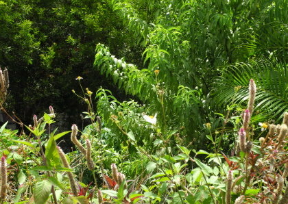 【台北市】基隆河右岸自行車道-百齡河濱公園 【台北市】基隆河右岸自行車道-百齡河濱公園