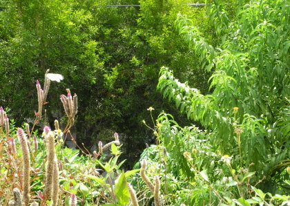 【台北市】基隆河右岸自行車道-百齡河濱公園 【台北市】基隆河右岸自行車道-百齡河濱公園