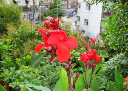 【台北市】基隆河右岸自行車道-百齡河濱公園 【台北市】基隆河右岸自行車道-百齡河濱公園